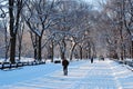 Winter, Central Park