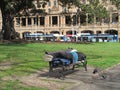 a tired traveler sleeing in the park Royalty Free Stock Photo