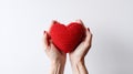 Winter Charity concept with red knitted heart in female hands. Winter Charity Work, Give Someone a Coat, Support Homeless