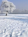 Winter in China, Wusong Island Royalty Free Stock Photo