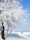 Winter in China, Wusong Island Royalty Free Stock Photo