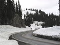 Winter on Chinook Pass