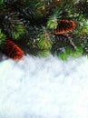 Winter Christmas background. Christmas boarder with fir tree branch with cones on the snow. Winter holidays concept. Royalty Free Stock Photo