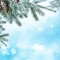 Winter Christmas background with fir tree branch Royalty Free Stock Photo