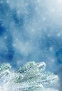 Winter Christmas background with fir tree branch. Merry Christmas and happy New Year greeting card. Winter landscape with snow and Royalty Free Stock Photo