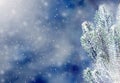 Winter Christmas background with fir tree branch. Merry Christmas and happy New Year greeting card. Winter landscape with snow and Royalty Free Stock Photo