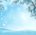 Winter Christmas background with fir tree branch. Royalty Free Stock Photo