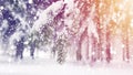 Winter. Christmas background. Snowflakes fall on snow in frosty forest. Snowy winter morning sunrise