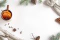 Winter Christmas concept Royalty Free Stock Photo