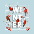Winter Christmas Design in Vector. Winter Birds with Rowan Berries