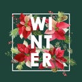 Winter Christmas Design in Vector. Winter Flowers with Pines