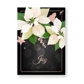 Winter Christmas Flowers Greeting Card. Floral Poinsettia Retro Background, Design Template for Holiday Season Royalty Free Stock Photo