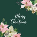 Winter Christmas Flowers Greeting Card. Floral Poinsettia Retro Background. Design Template for Holiday Season Celebration Royalty Free Stock Photo