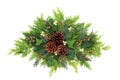 Winter and Christmas Greenery Floral Arrangement Royalty Free Stock Photo