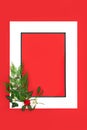 Winter Christmas Holly Mistletoe Ivy Fir Background Frame