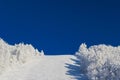 Winter christmas landscape on blue sky background with copy space. empty clear ski slope with white snow and white trees at the Royalty Free Stock Photo