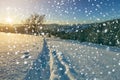 Winter Christmas landscape at dawn. Human footprint track path in crystal white deep snow, spruce forest, woody dark mountain Royalty Free Stock Photo