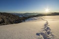 Winter Christmas landscape. Human footprint track path in crystal white deep snow through empty field, woody dark mountain range, Royalty Free Stock Photo