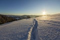 Winter Christmas landscape. Human footprint track path in crystal white deep snow through empty field, woody dark mountain range, Royalty Free Stock Photo