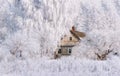 Winter Christmas Landscape In Pink Tones With Old Fairy Tale House, Surrounded By Trees In Hoarfrost. Rural Landscape With Scenic