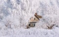 Retro Winter House.Christmas Landscape In Pink Tones With Old Fairy Tale House, Surrounded By Trees In Hoarfrost. Rural Landscape Royalty Free Stock Photo