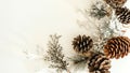 Winter Christmas and new year background with copy space - snow covered branches with pinecones and white backdrop