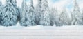 Winter Christmas, New Year background with wooden table, trees covered with snow in bacground Royalty Free Stock Photo