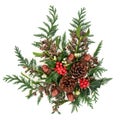 Winter Christmas and New Year Floral Decoration Royalty Free Stock Photo