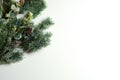 Winter, Christmas and New Year template. Decorative green frosty pine branch with cones.