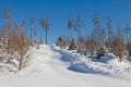 Winter Christmas post card view - snow