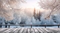 Winter christmas scenic background landscape in sunny day 1690449227592 1