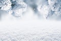 Winter Christmas scenic background. Snow landscape with spruce branches covered with snow. Sky and sunlight through the frozen