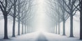 winter Christmas. snow storm. foggy misty. Road, driveway, path, boulevard, byway, route, track, trail, street, row of trees. Royalty Free Stock Photo