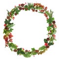 Winter and Christmas Wreath Garland Royalty Free Stock Photo