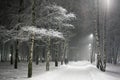 Winter city birch park in the evening blizzard