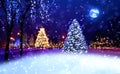 Winter  city , Christmas tree in evening town  park,blurred bokeh  light and moon on blue night sky Royalty Free Stock Photo