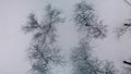 Winter city garden.  Trees in the snow. Flying over a snow-covered park. Aerial photography Royalty Free Stock Photo