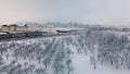 Winter city garden.  Trees in the snow. Flying over a snow-covered park. Aerial photography Royalty Free Stock Photo