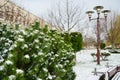 Winter in the city. A growing Christmas tree in the city is covered with snow after a storm. Green clean city.