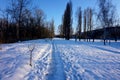 Winter city landscape of the park on a bright sunny day Royalty Free Stock Photo