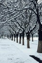 Winter city landscape. Road, alley of a park covered with snow. Tree lines with snow. Winter season in Bulgaria. Royalty Free Stock Photo