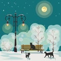 Winter city park and family of cats, winter night vector illustration