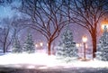 winter city park pine trees covered by snow ,snow fall street lanter light urban season weather forecast
