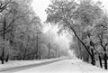 Winter city road through the park Royalty Free Stock Photo