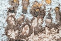 Winter in the city of zebra pedestrian crossing. Close-up Dirty snow prints of pedestrian shoes on dirty snow in winter. Royalty Free Stock Photo