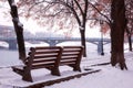 Winter cityscape, famous linden alley on the embankment of Uzh river with a snow, Uzhhorod, Ukraine