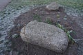 Stones as a decoration for a flower bed in a snowy winter. Berlin, Germany Royalty Free Stock Photo