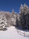 Winter in Ciucas Mountains Royalty Free Stock Photo