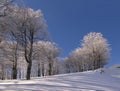 Winter in Ciucas Mountains Royalty Free Stock Photo