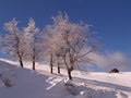 Winter in Ciucas Mountains Royalty Free Stock Photo